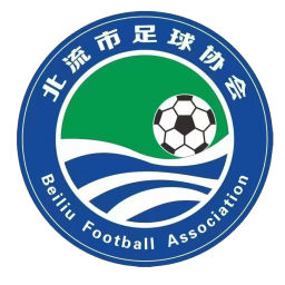 玉林市北流市队队徽